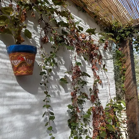 بيت للعطل La Cigarra
