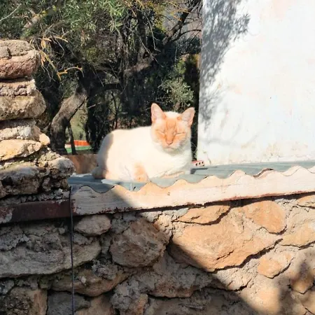 La Cigarra Holiday home *