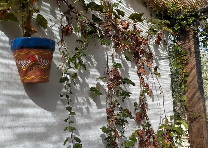 Vakantiehuis La Cigarra